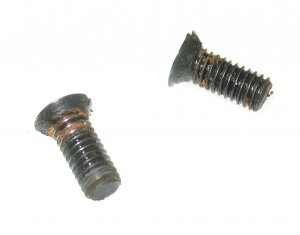 Screws from donor part