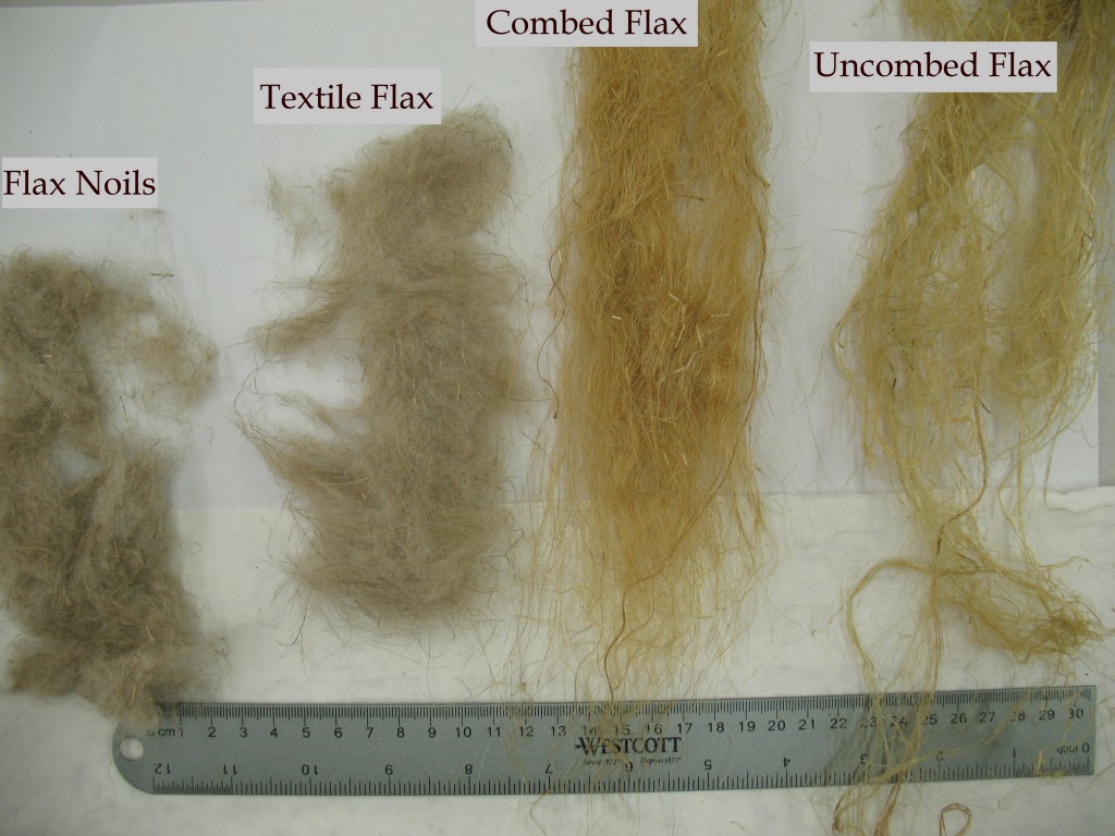 Flax fibres